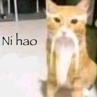 Đội trưởng Dalier