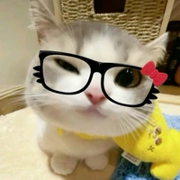 T/G | Mèo Biết Nói