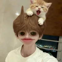 Lê Trần Cửu Long