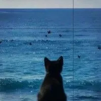 @𝐛𝐨𝐧𝐜𝐭