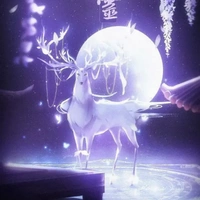 light-Kiều Ân