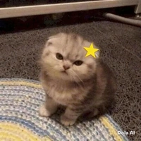 T/G