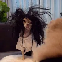 tg