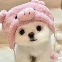 t/g cute