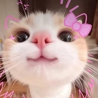 tác giả
