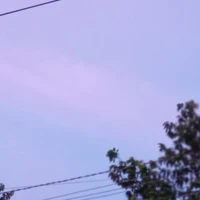 Mọi người