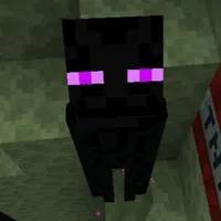 endermen