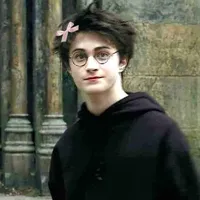 Harry hạt dẻ