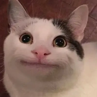 chó
