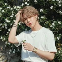 Park Ji-min (Jimin)