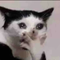Đồ vật