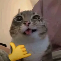 T/G hmmm