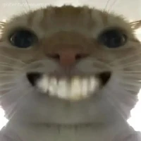 t/g