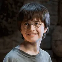 【 Harry James Potter 】