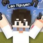 LaoNguyen205