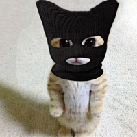 ° T/G°