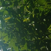 2 người