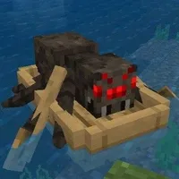 Spider🕷