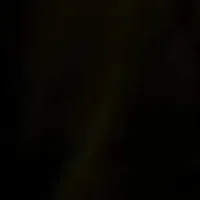 ? ? ?
