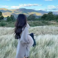 Chị gái Vũ