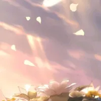(?)