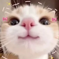 Tác giả