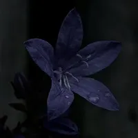 All