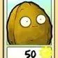Wall-nut