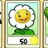 Marigold