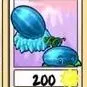 Winter melon