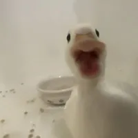 𝘿𝙤𝙣𝙤 𝙩ô𝙣𝙜 𝙡à𝙤🩴
