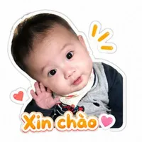Tác giả zô zụng