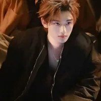 Đinh Trình Hâm