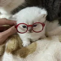 Mắm ghét ăn mắm^^