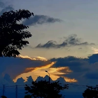 Độc giả
