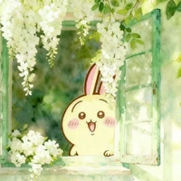 -Tác giả ⭐🐰-