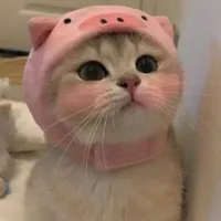 tg