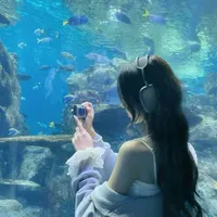 Hạ Lục Vân