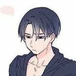Levi