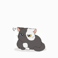 Haru
