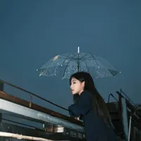 Viên nhất kỳ