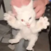 ？？?