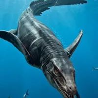 dakosaurus