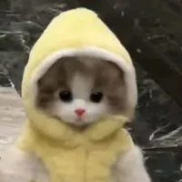 🎀