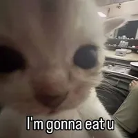 t/g eat kid