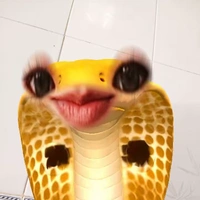 cạp nia