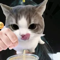 tg mê tiền[có tiền làm phiền đc tg]
