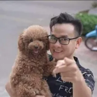 thế dũ