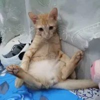 tác giả🥰