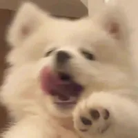 @Aquasleep